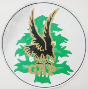 insigne du groupement aéroporté ( G.A.P )